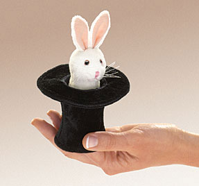 Rabbit in Hat
